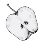 dw21-mynt-17-b-removebg-preview